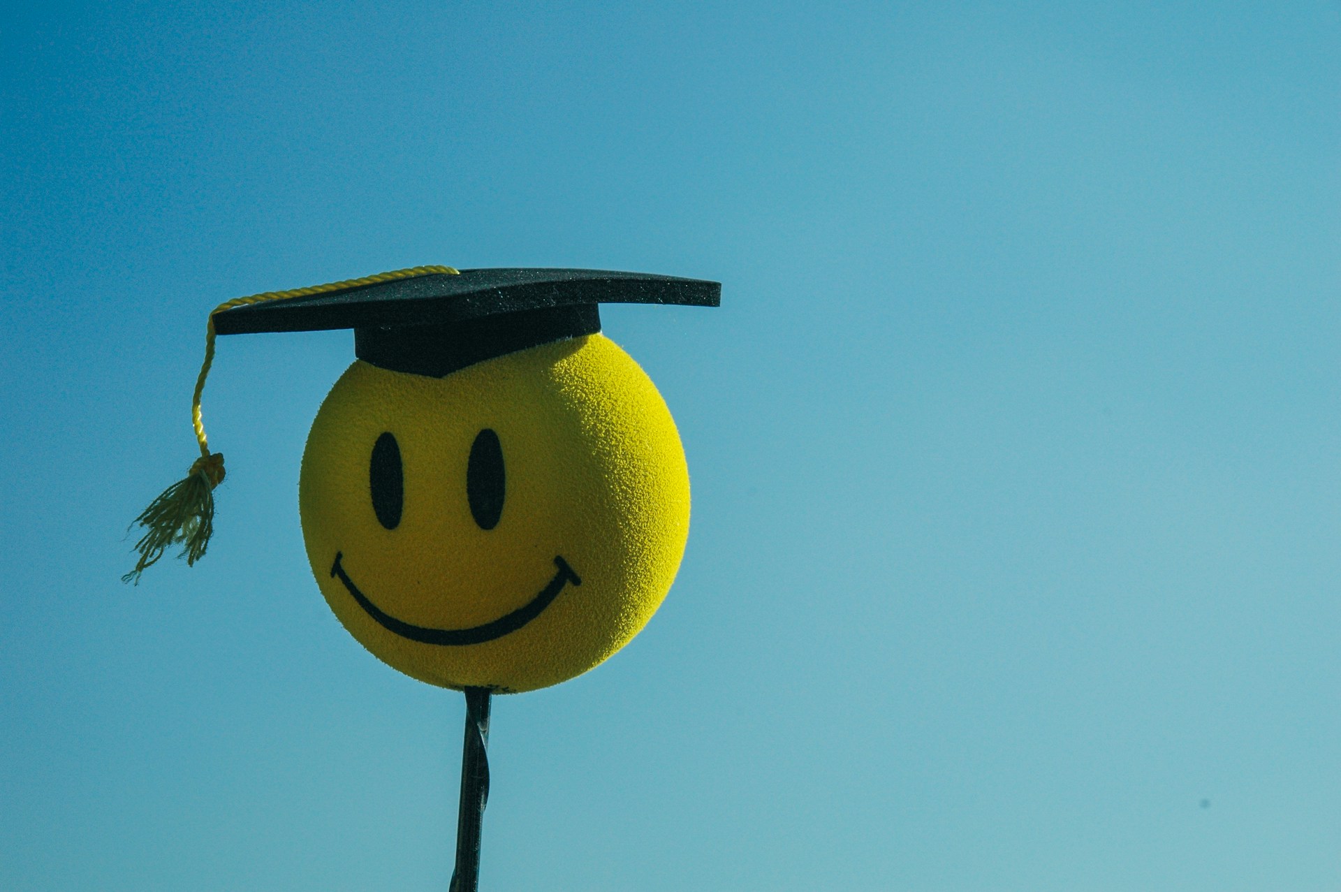 No Degree Needed for My Joy