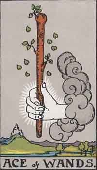 Ace of Wands (Reversed)