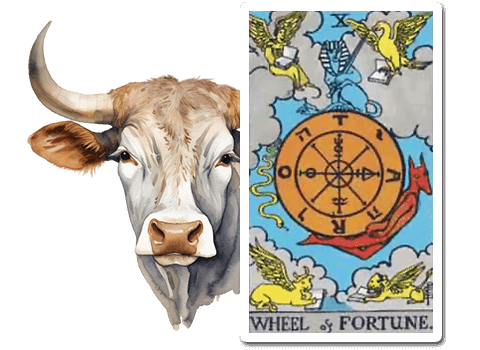 The Bull in the Wheel of Fortune