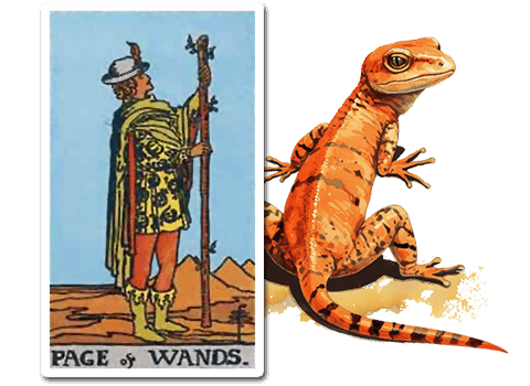 The Lizard in the Page of Wands