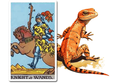 The Lizard in the Knight of Wands