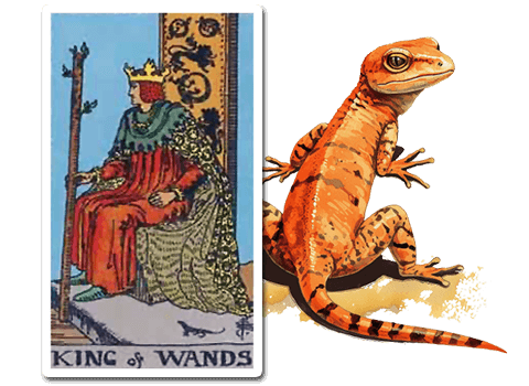 The Lizard in the King of Wands