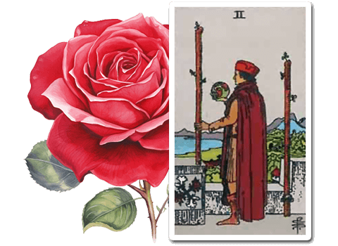 The Rose in the Two of Wands